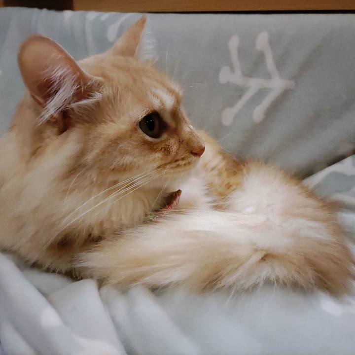 F68cf038 9f25 4f91 ba74 701fa03515cd 1700995794288