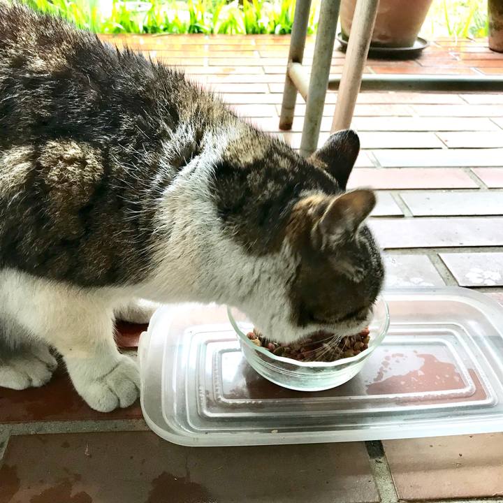 F68d4e84 3967 437c 9ad8 f2c43bf350d4 1520227453974