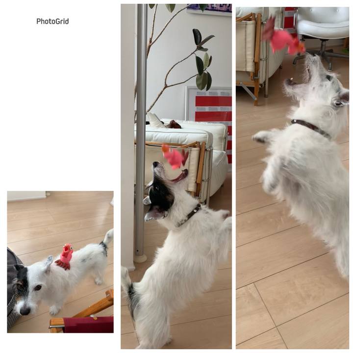 F68d9e4c e97f 433f 9828 e506ac2b2004 1729040759698