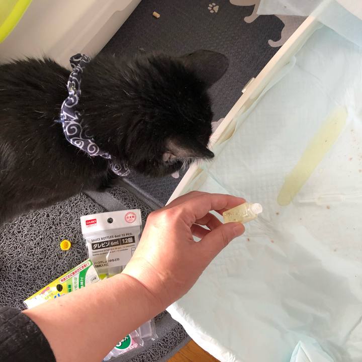 F68e0fbb 11e8 4015 8471 c0fd3bafa6ad 1560028925439