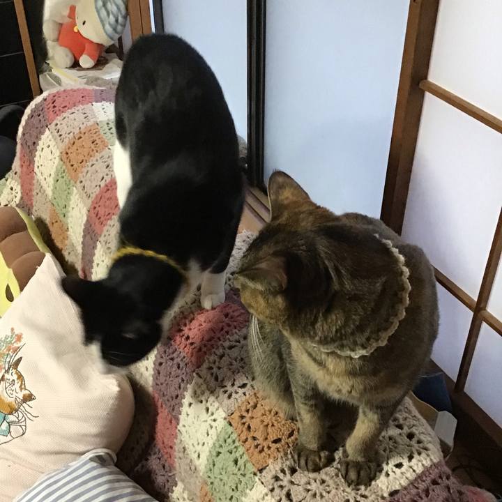 F68e44ca 9dab 4e0a 95e7 a86491a63575 1646384542071