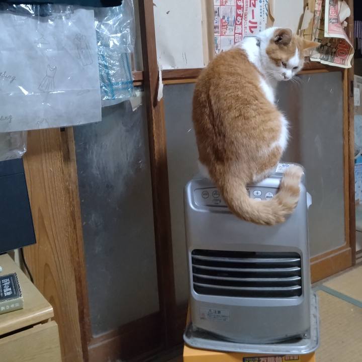 F68e4e1b 623f 476f bdec 7ae963a29ab1 1768558658228