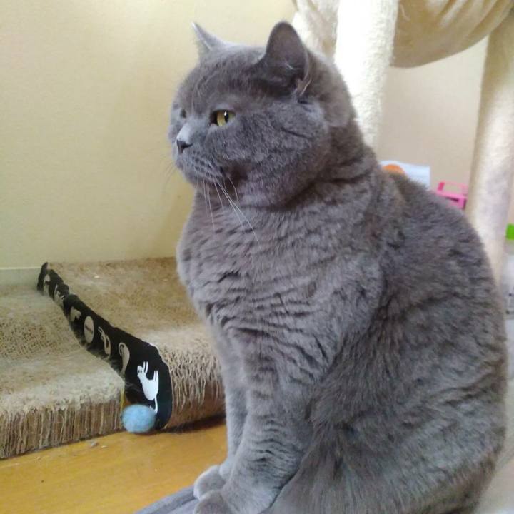 F68e7645 2b0f 4cb9 a3f9 ab6bbff27b15 1587453120257