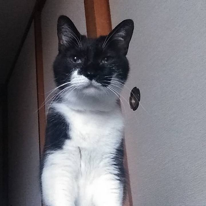 F68eb708 042f 4bbb 9107 7c762eae19f1 1565032385729