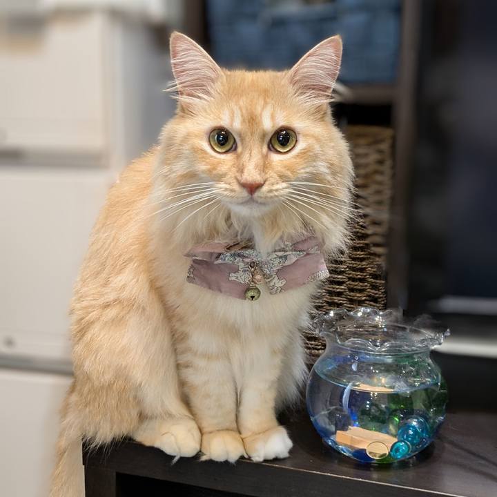 F68edf6a d85a 45ff 8625 8e0814ff8192 1726437633448