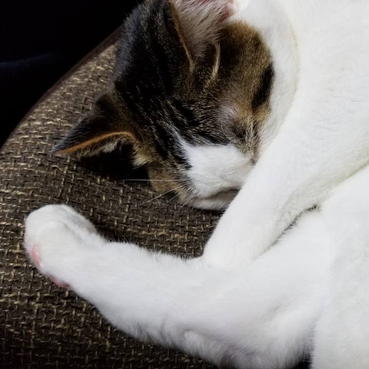 F68edffd 471c 4271 98c4 483c059e673c 1609666722695