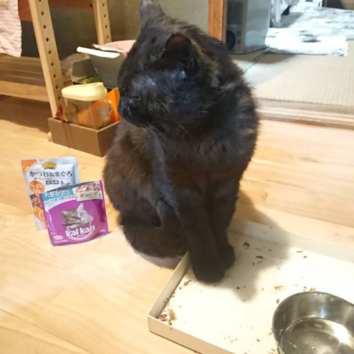 F68ef9e5 ba0a 415d be0c 6c1c3e27eed2 1622375342613