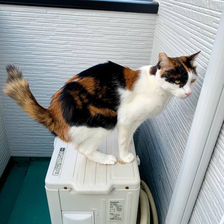 F68f44b2 fd65 4fac aea4 e03f0c1d9bc1 1639268777982