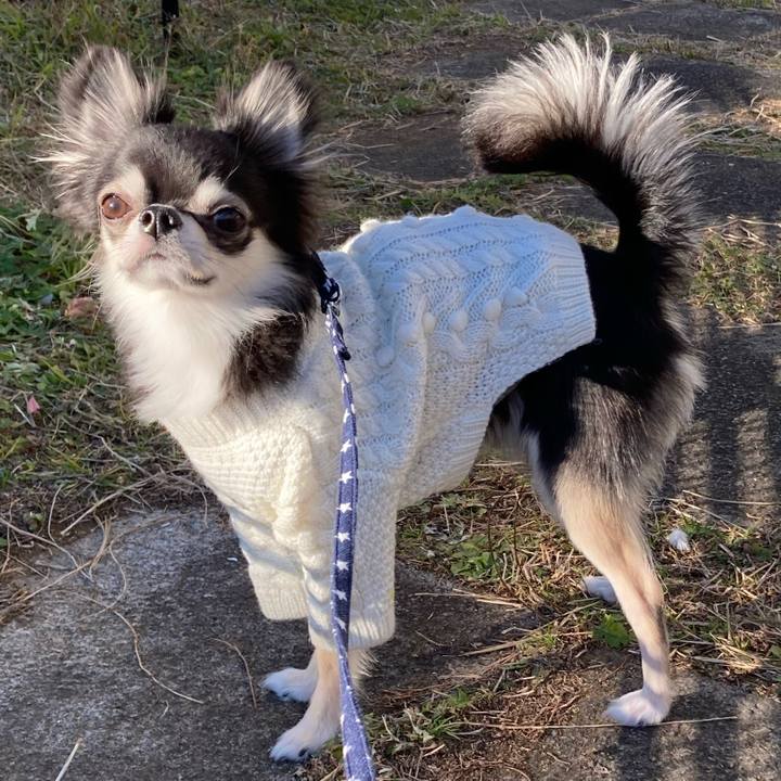 F68f4926 3a86 4c36 af77 f1ad128cb40f 1640958616178