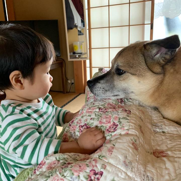 F68f6582 b2bb 4e6c b2f6 63ec302b46af 1553649479013