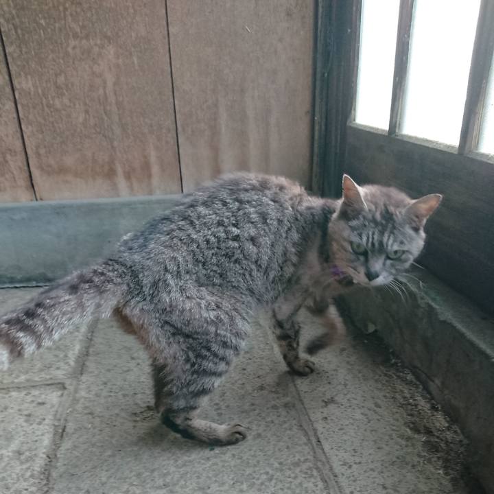 F68f9170 4fc0 4734 a5ab a57ee0bc6028 1596576864821