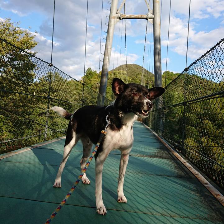 F68fb4d2 a2e1 4866 9a31 cd0d2d261e25 1538391412270