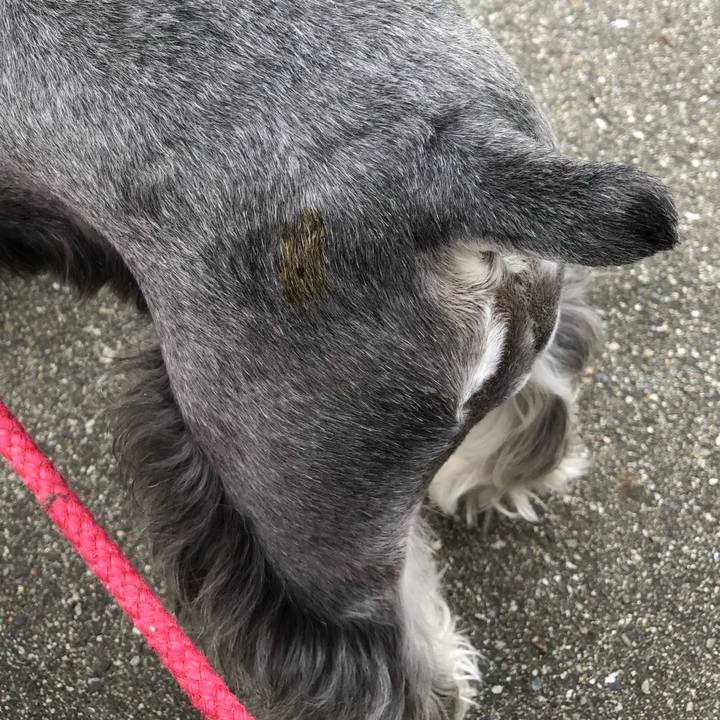 F68fcb42 fc96 415f a768 42a14883aba8 1532729274446