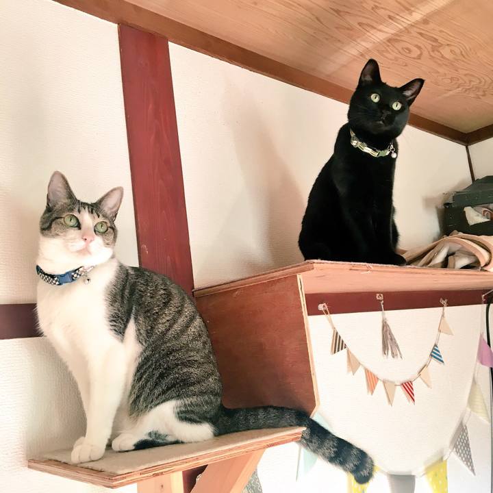 F68fe595 8704 4ee0 82f4 ff89cdcc353f 1541576460233