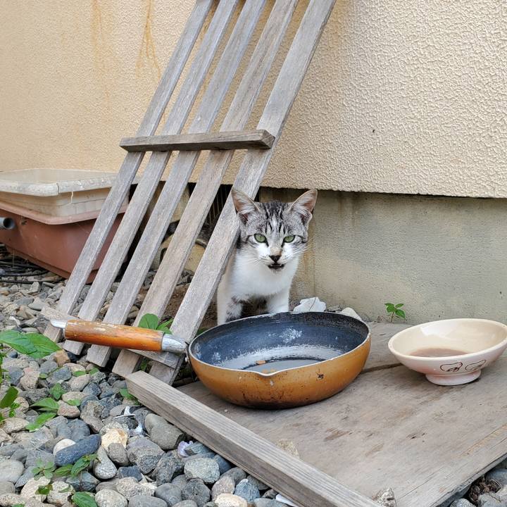 F68fe5dd bd48 402a 981f 8588e9e2ec82 1721313147347