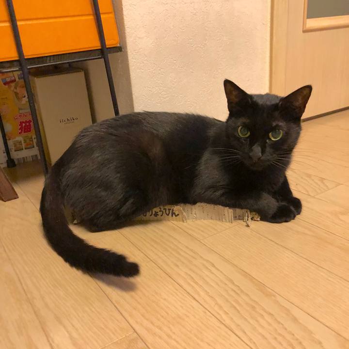 F68fec53 01e9 40bf afdb bb46f74e0864 1531395679999