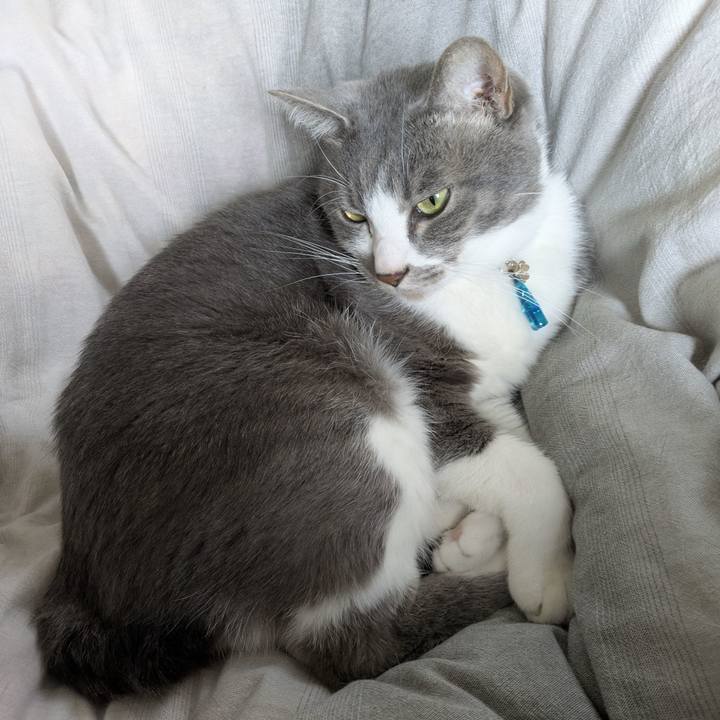 F68ff88a 480d 4808 af60 1153a28cffe2 1762821637504