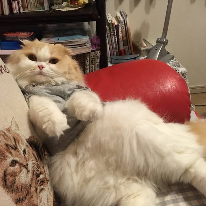 F6907b2a 5ad9 4216 92b9 0f2326149e3d 1548712916192