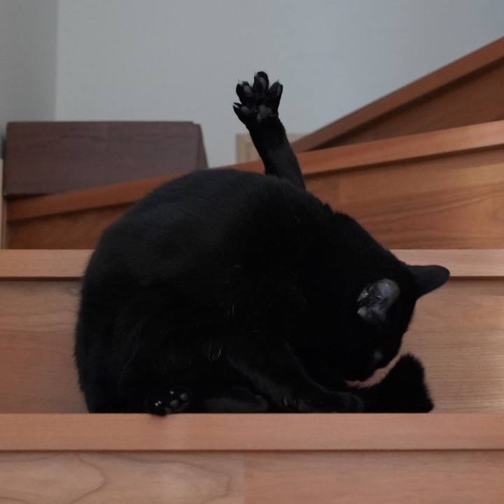 F6907e61 5ade 4cc6 b6e1 eb618883488d 1583362456581