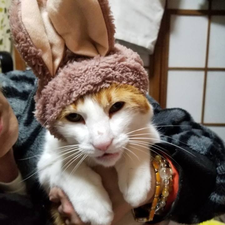 F690f5fb 524c 46a3 a272 04345437552c 1518613506447