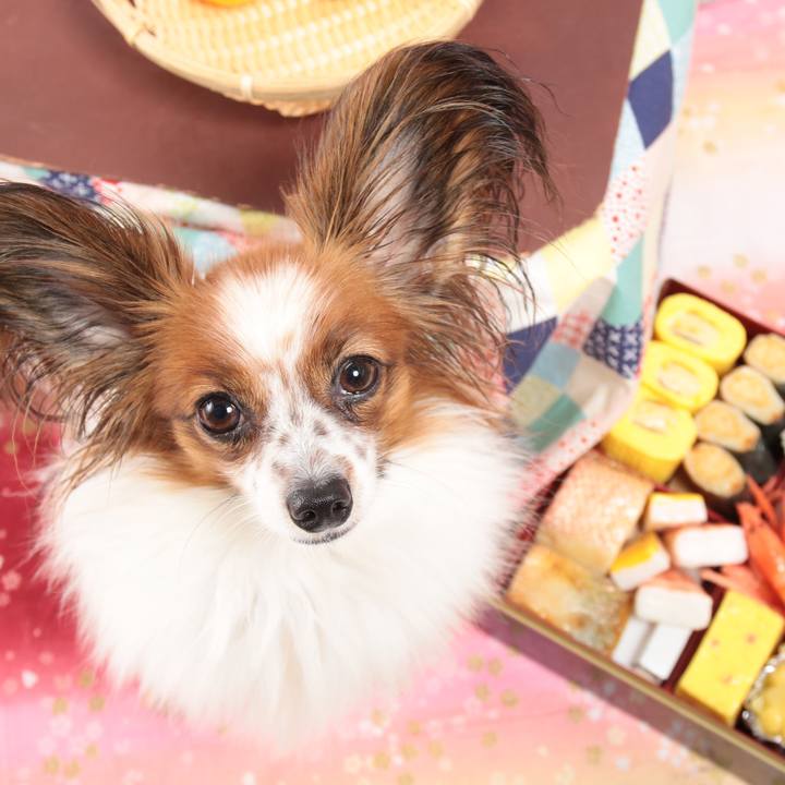 F69138e2 abe0 4b36 89d0 9c7c37d8af2c 1512388478106