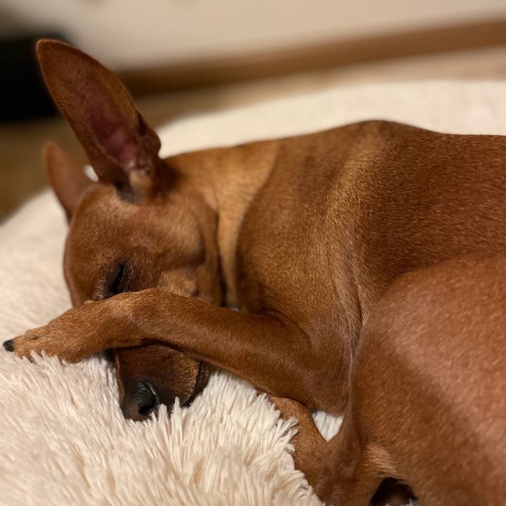 F6915524 78ba 43a2 9e12 1c98da19c732 1624450395520