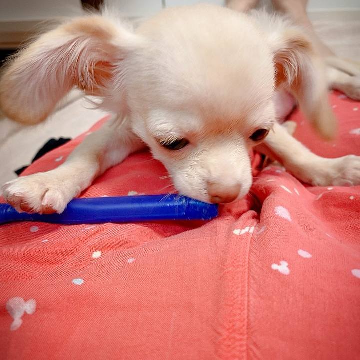 F691c354 4450 425e 9627 36a14caf33bf 1592692169103