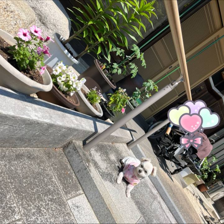 F692281c 1863 4f30 b81e 65475c4b62fd 1651547938174