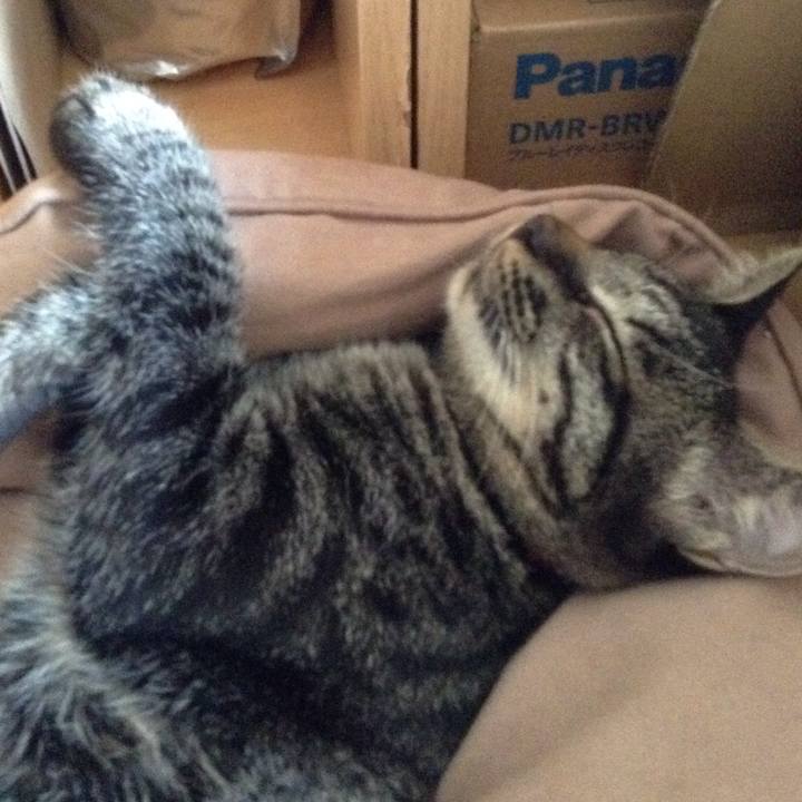 F6922f3c 17a8 4af8 a015 a0b5a4c00f7d 1535181350337