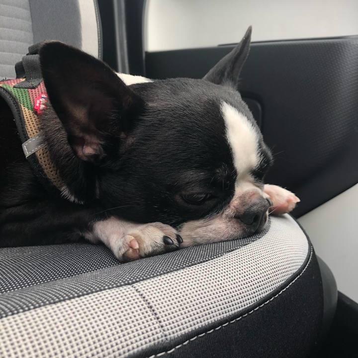 F6923775 8d20 49bf b79e 99ce07b48450 1612843437827