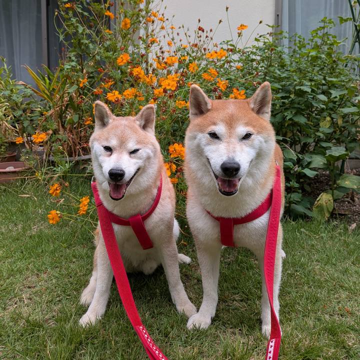 F6925070 1cb5 47d0 be96 27f7c7a777dd 1756954472481