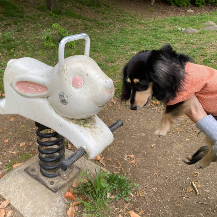 F6925276 8af1 4f5f 9fe7 a65c0d76449a 1682225419976