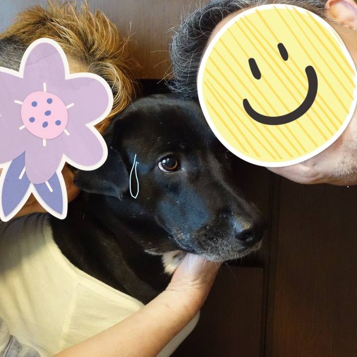 F6925c52 c0aa 4497 b72a 89df33aca330 1618881598818