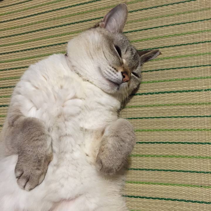 F692608f 0f74 4b7b a201 457b750be8cf 1529149981058