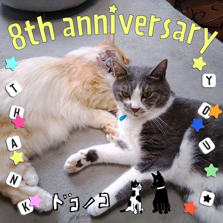 F6926d41 2178 4c33 892e 5762de08294e 1717650900950