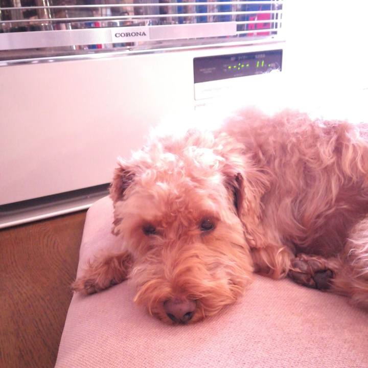 F6927bb9 bb7e 4541 ad37 23cd39effa09 1549235693360