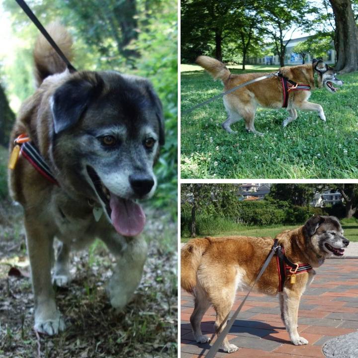 F6928b1b 0a25 4ddf 836c 6bcb7e6c47d9 1527998067719