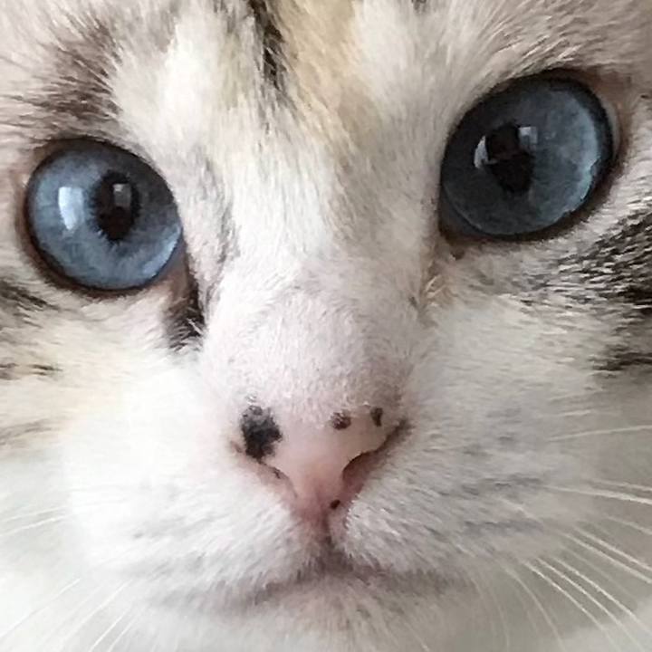 F6929816 804a 4d8c ad7f a4e5f9d3a45f 1537505039334