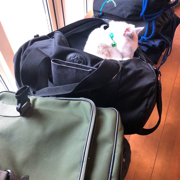 F692a464 5803 47d8 91bd f547fe6e9d74 1546849931472