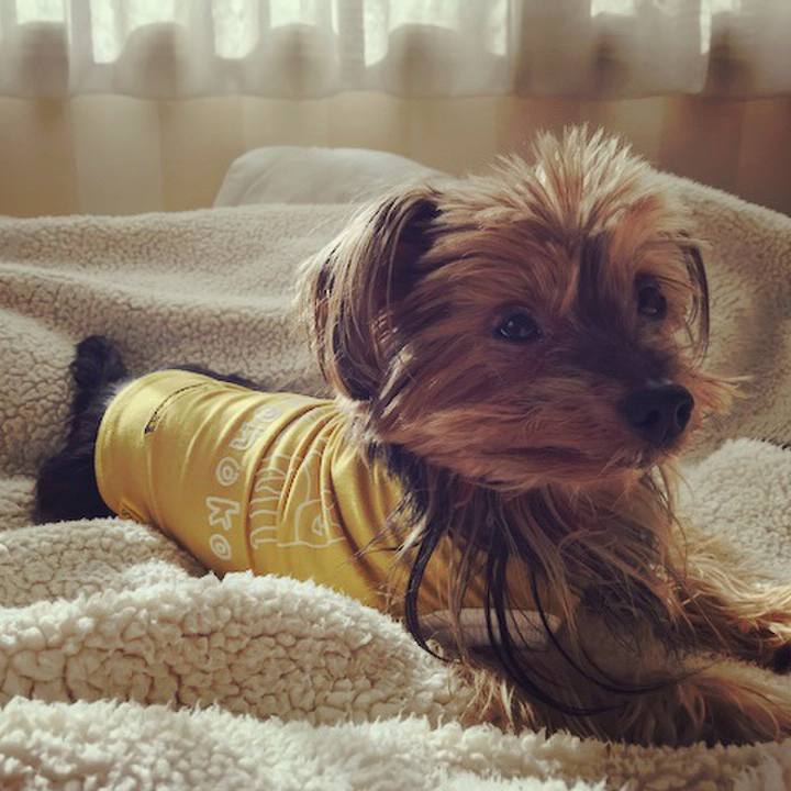 F692b130 b9ff 4698 9a43 2a99d3bf6683 1511162246018