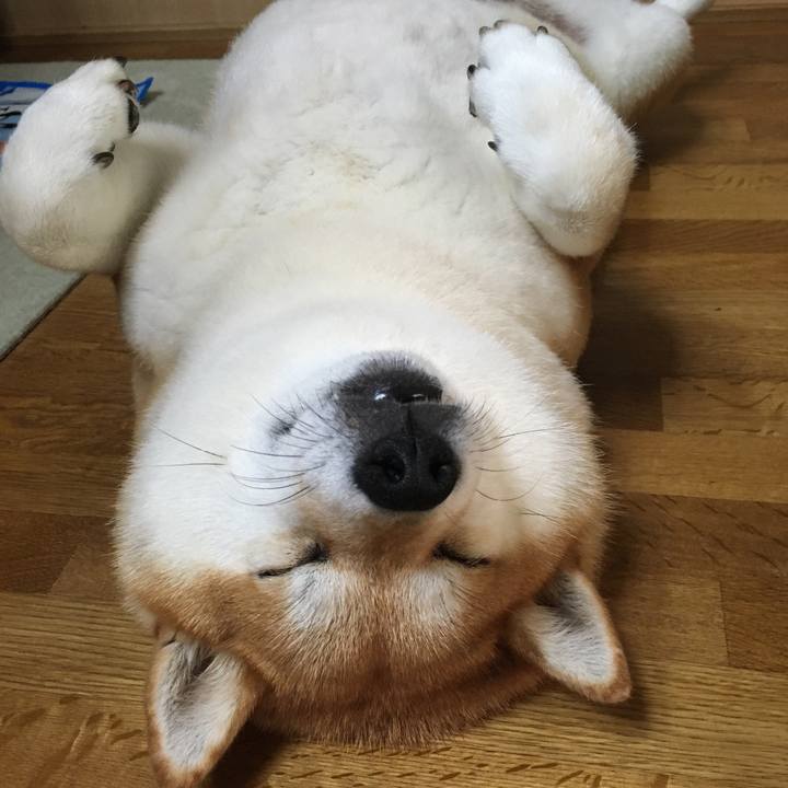 F692dbd8 716e 41bf b341 a897b571365d 1598222646514