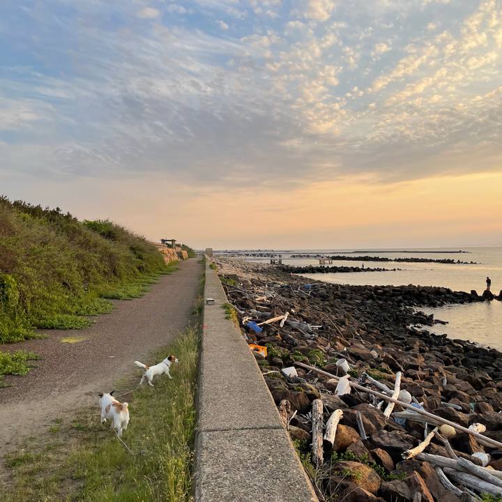 F692eb7b 9718 4628 a2c2 86ef7b2a32af 1654078326576