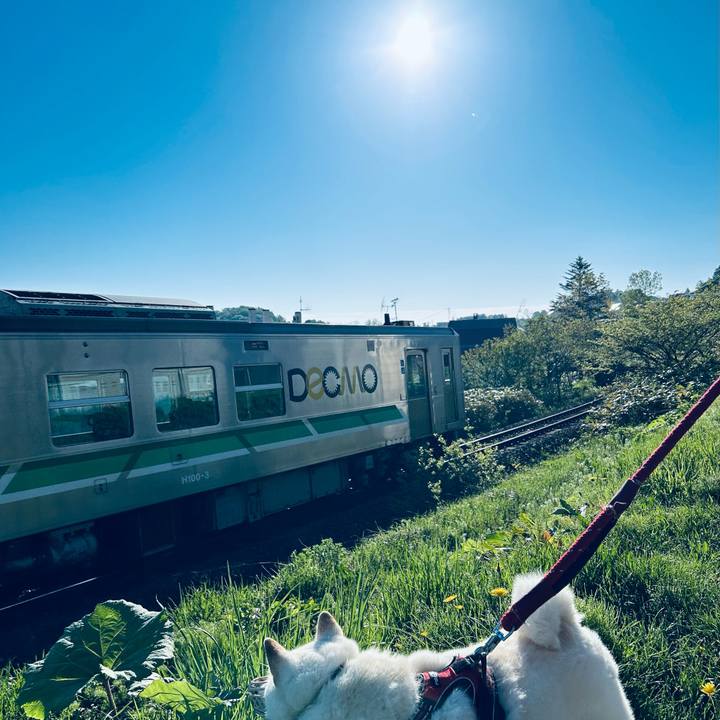 F6932041 82f0 4893 8d1f fa33000ec223 1715816959074