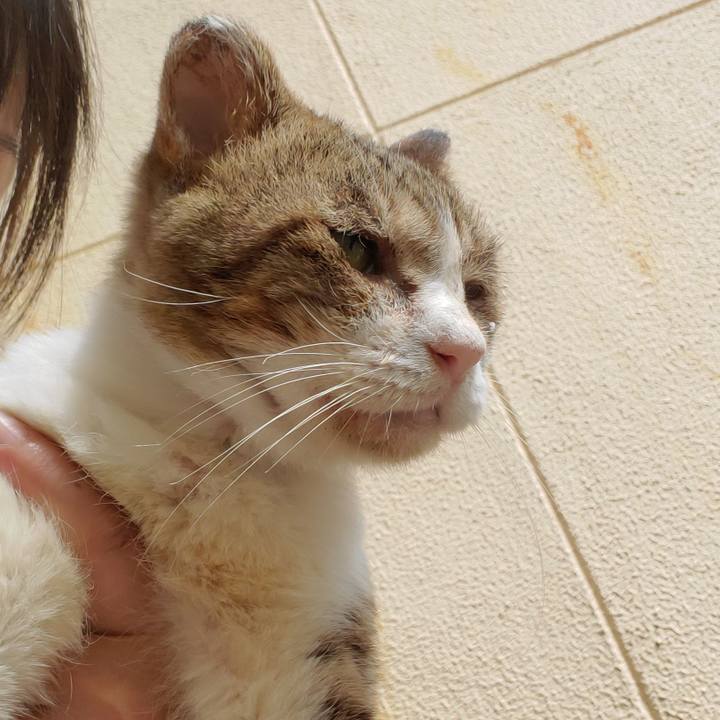 F69334f6 67ac 4e0c 9921 e06599a33262 1695736629713