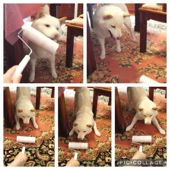 F6933942 db9f 451b b52e 7829f273365d 1648696915471