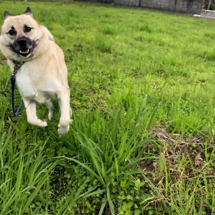 F6934019 7571 496d 8615 bc46024666f1 1560343277641