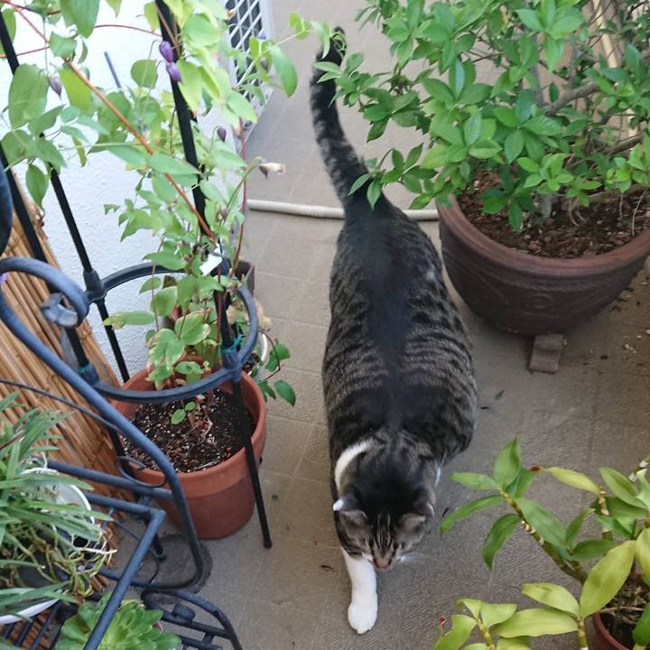 F6934260 55bd 459d 8d84 1e4db17355ab 1534636534355