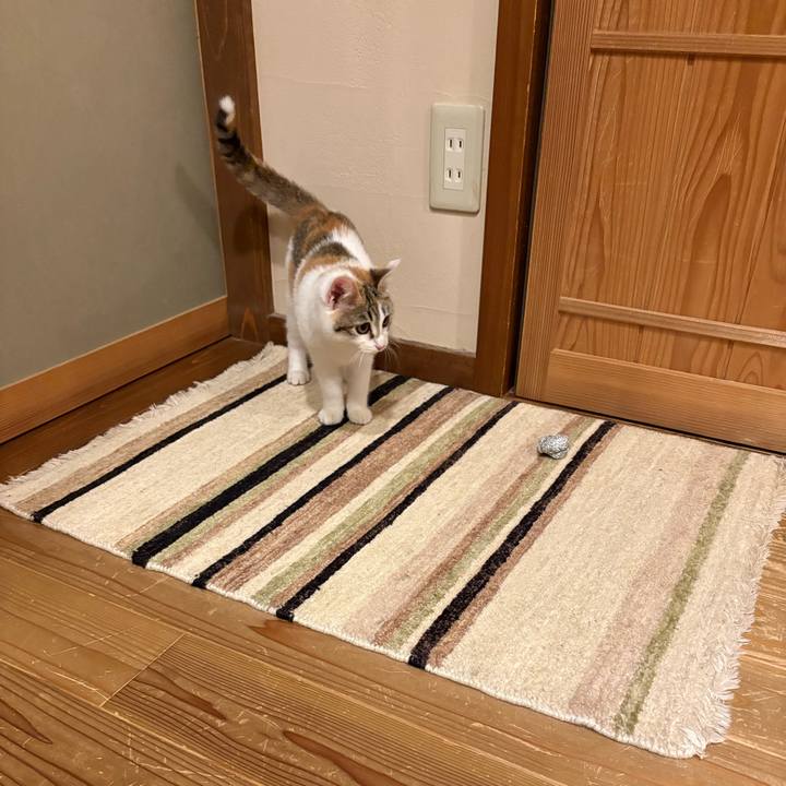 F69342ca f857 4b1d baa8 6637ecceb8f4 1766240885369