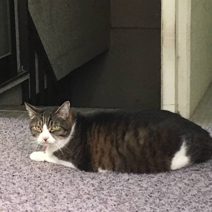 F6936aa4 4d5a 4735 b9b3 cc5b2ad97be2 1530368256119