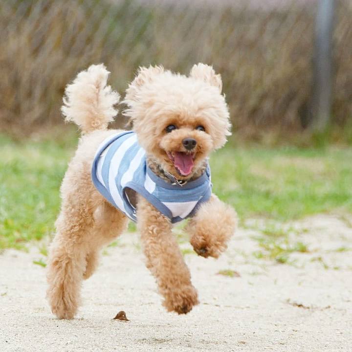 F6937a86 1f6e 44d6 b2a6 7e1e76748b9f 1593436032102